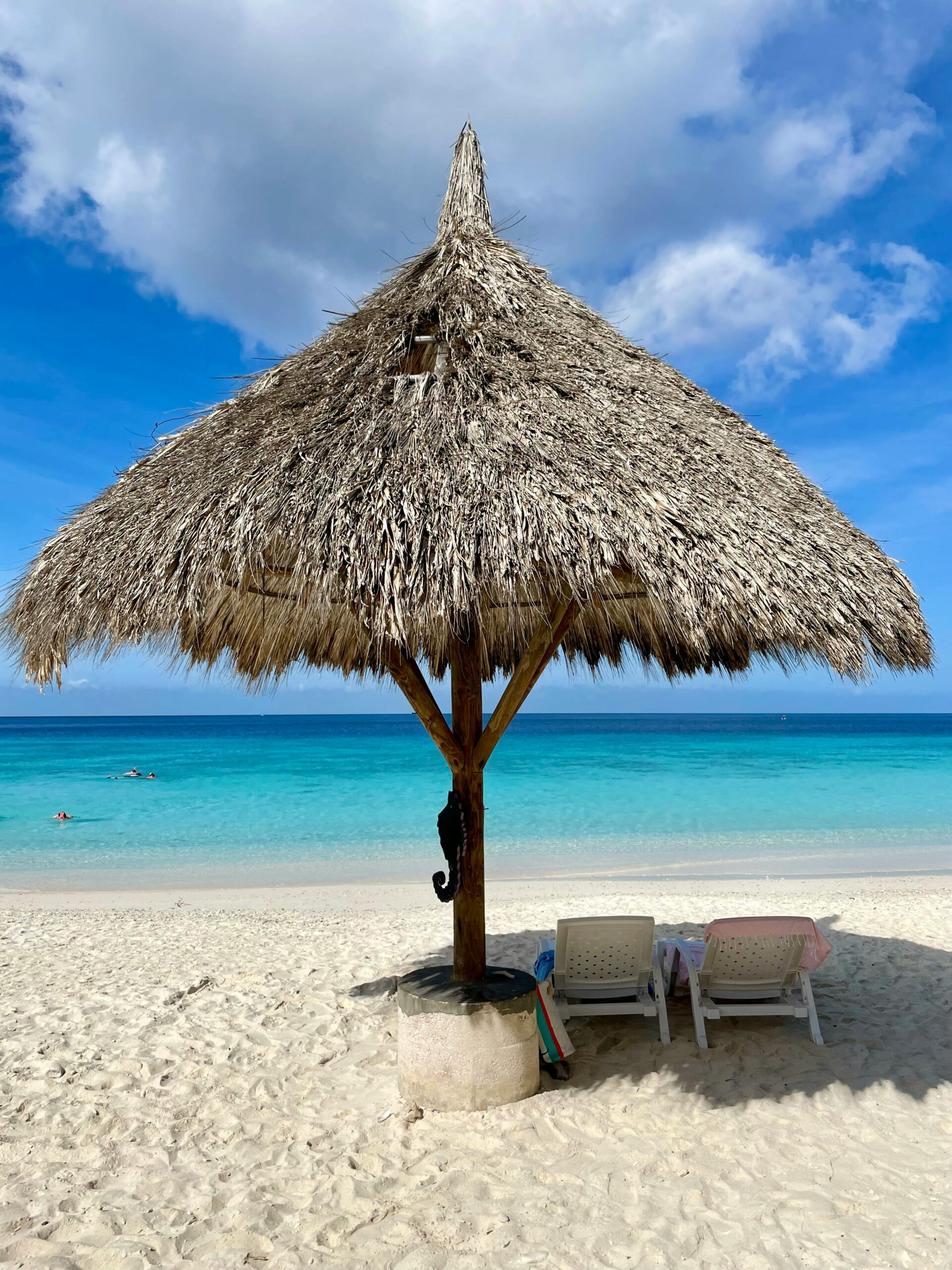Serene beach scene featuring a thatched hut and turquoise waters, perfect for relaxing under the sun.